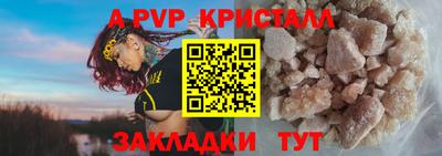 прущие грибы Нальчик
