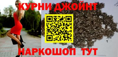 прущие грибы Нальчик