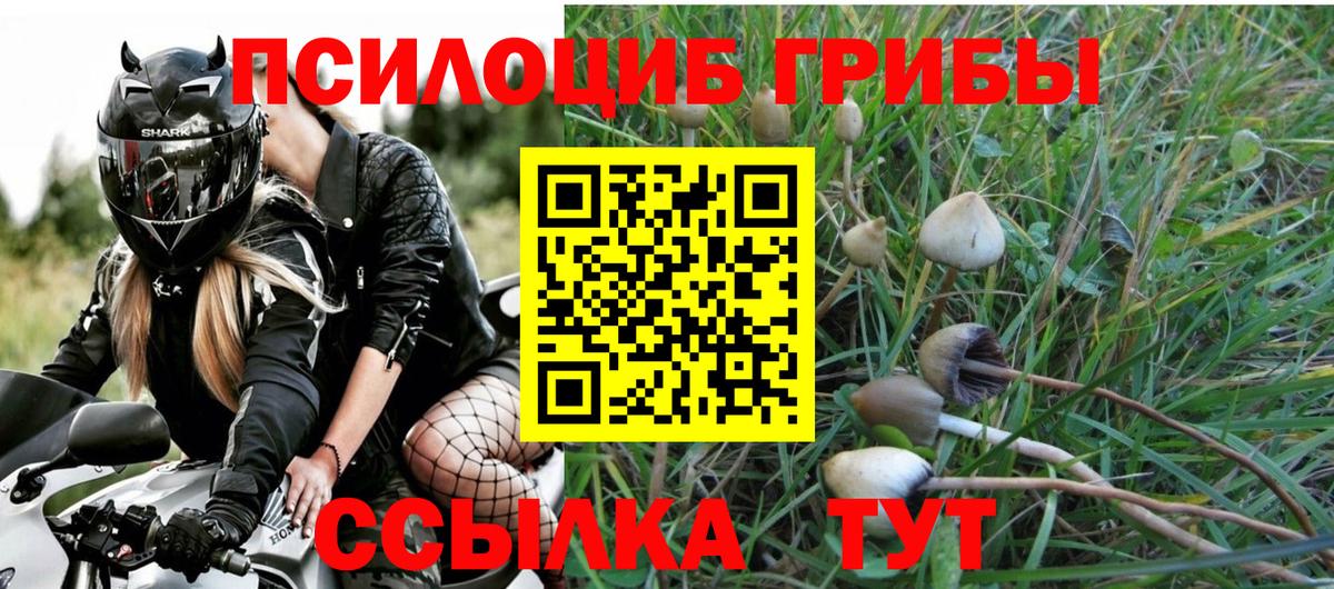 Псилоцибиновые грибы Magic Shrooms  Вход с VPN  Чапаевск 